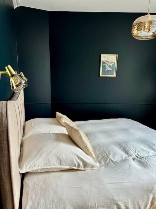 Bel Appartement Climatise En Plein Coeur De ลีลล์ ภายนอก รูปภาพ